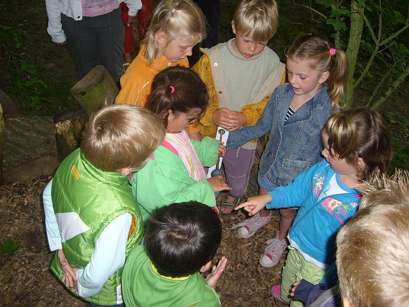 070612 skoalreiske beukers 041.jpg